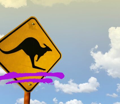 $10,000 earned on crypto with 87% ROI: how the “kangaroo” country works